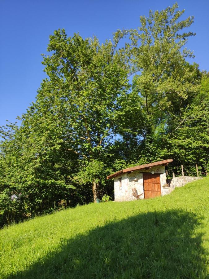 Apartamentos Rurales La Caviana Onís Dış mekan fotoğraf