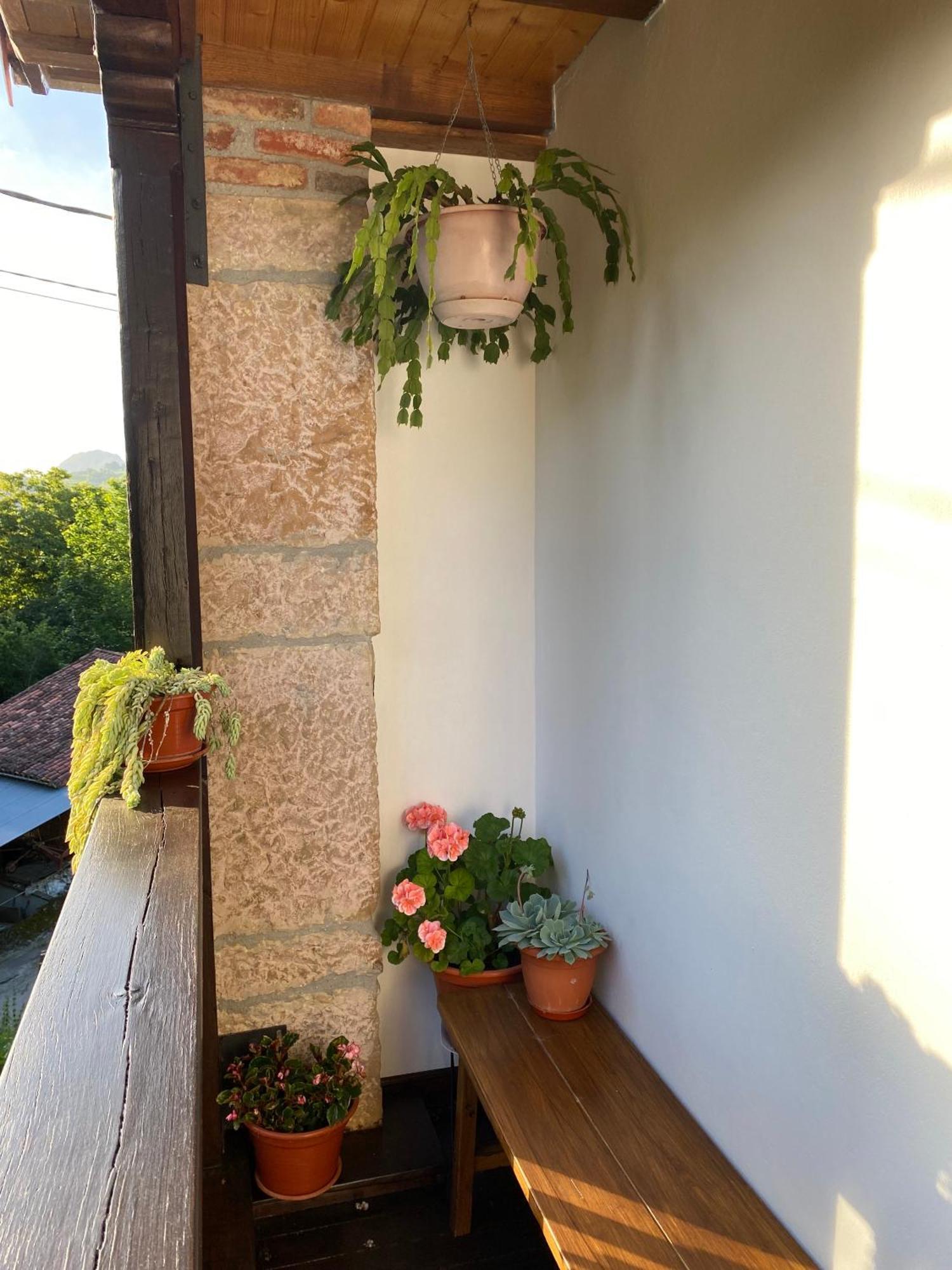 Apartamentos Rurales La Caviana Onís Dış mekan fotoğraf