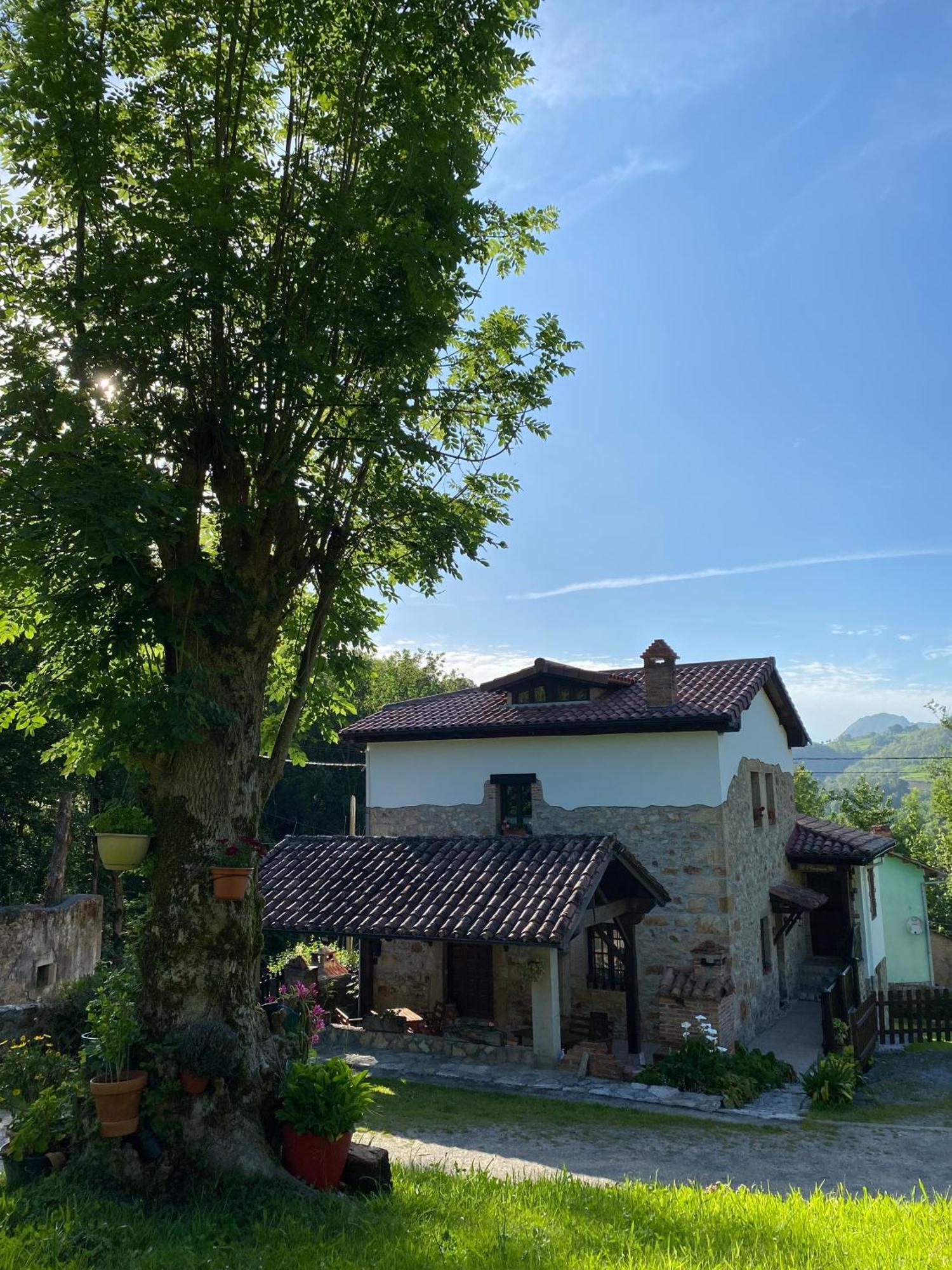 Apartamentos Rurales La Caviana Onís Dış mekan fotoğraf